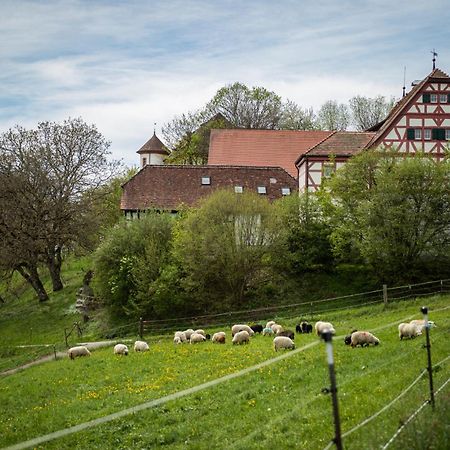 Hotel & Tagungszentrum Schloss Hohenfels Hohenfels  Exterior photo