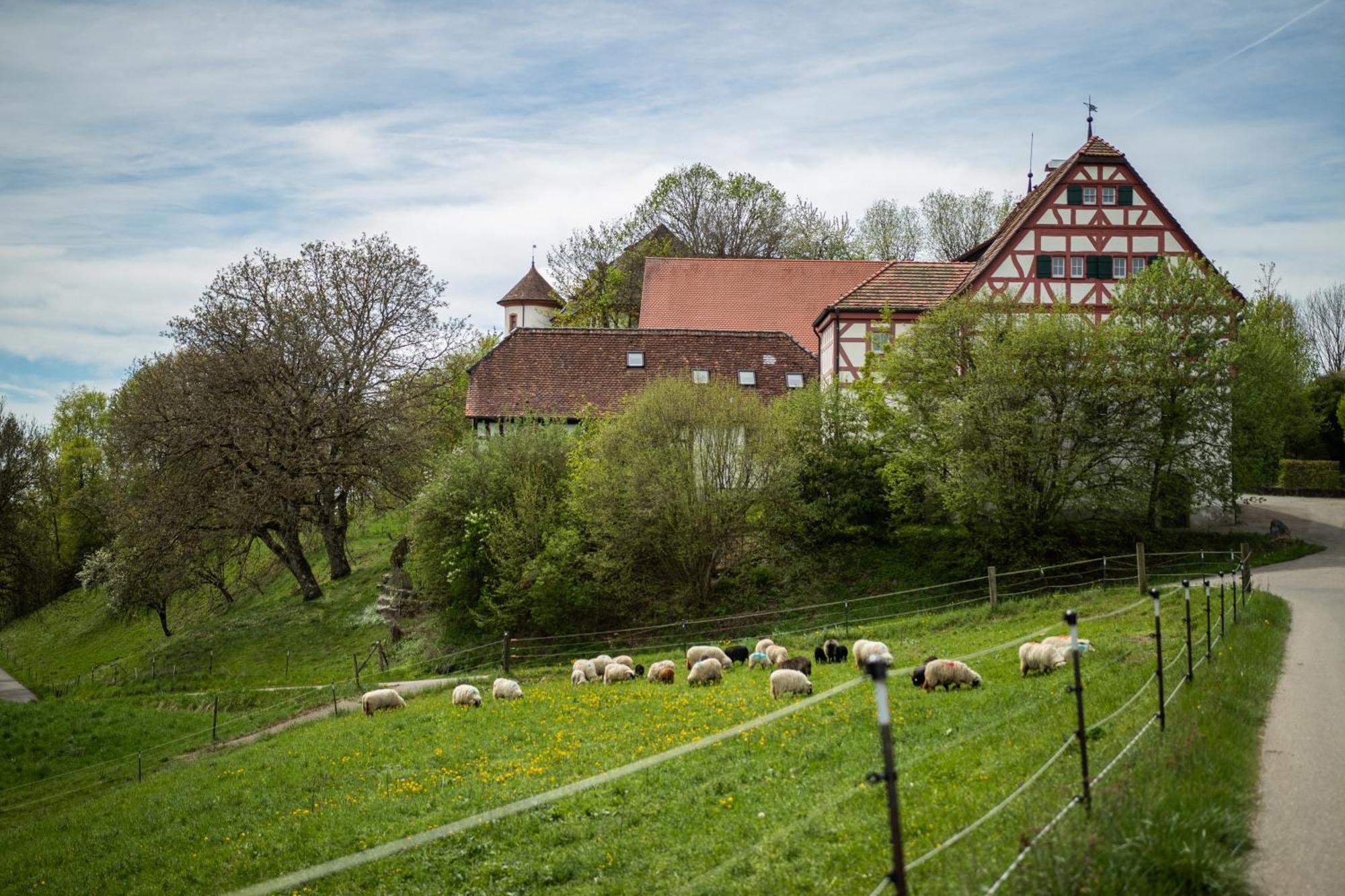 Hotel & Tagungszentrum Schloss Hohenfels Hohenfels  Exterior photo
